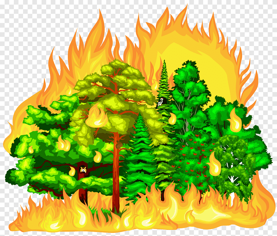 Развлечение "Пожар в лесу"
